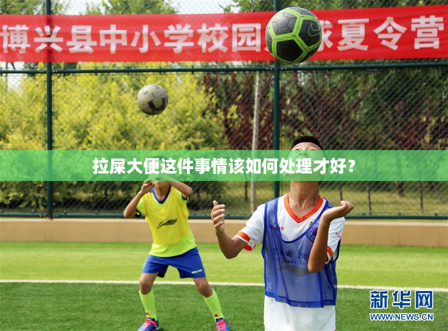拉屎大便这件事情该如何处理才好？