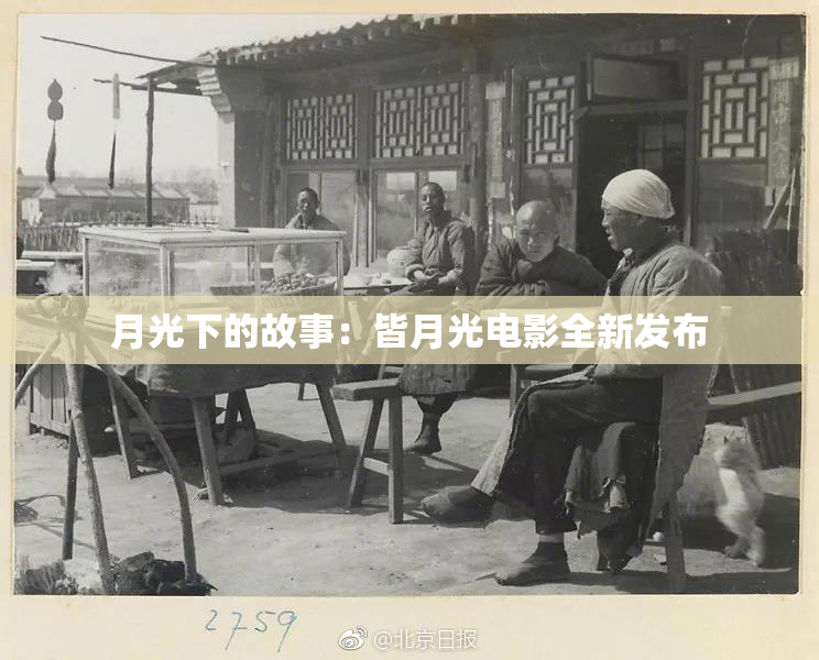 月光下的故事：皆月光电影全新发布