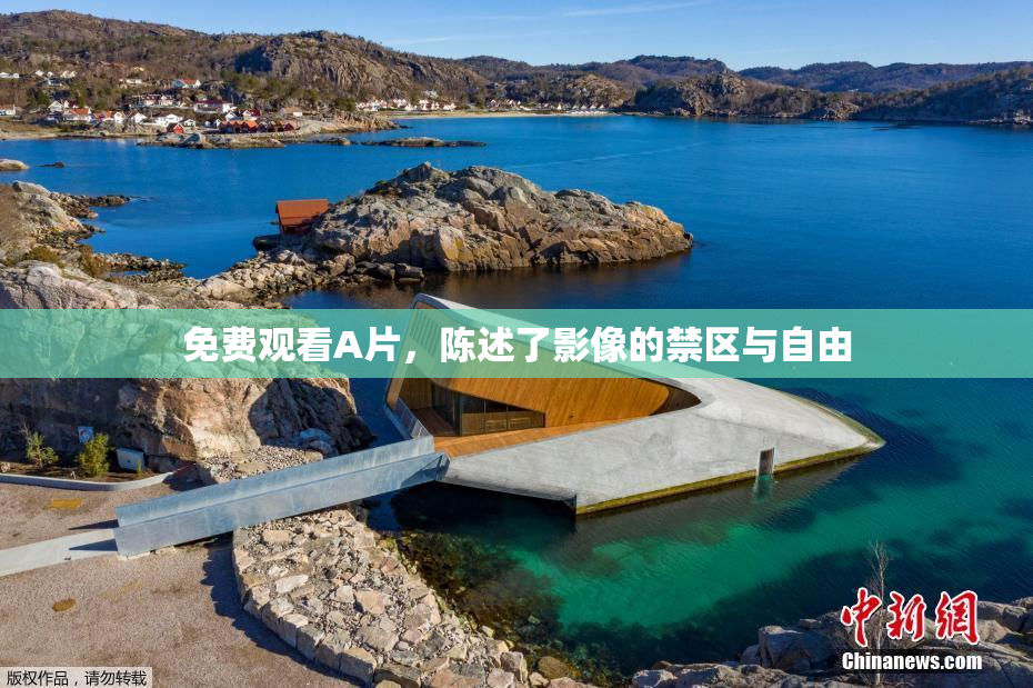 免费观看A片，陈述了影像的禁区与自由