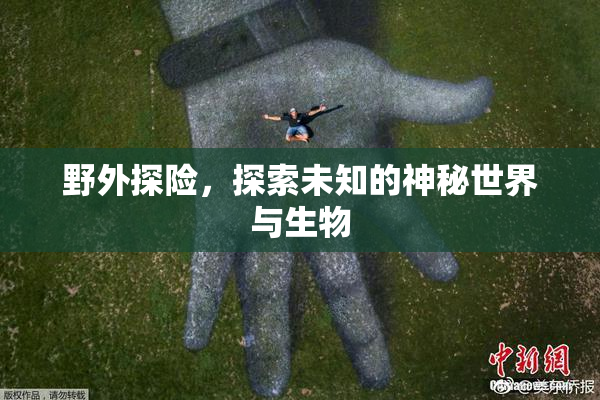 野外探险，探索未知的神秘世界与生物