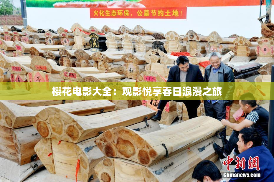 樱花电影大全：观影悦享春日浪漫之旅