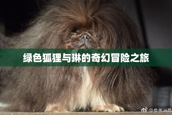 绿色狐狸与琳的奇幻冒险之旅