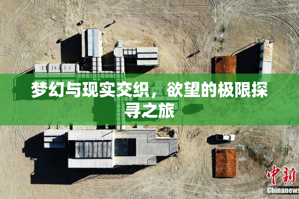 梦幻与现实交织，欲望的极限探寻之旅