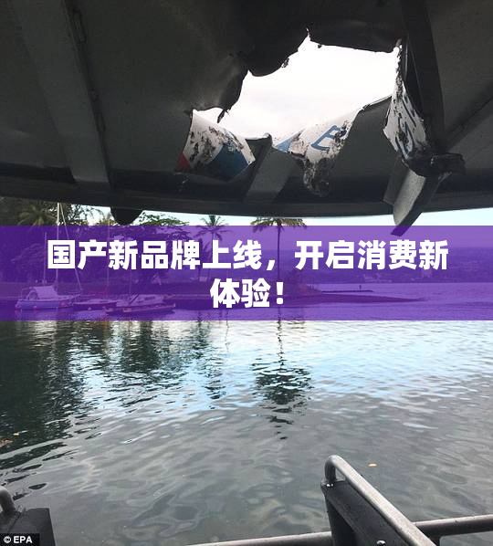 国产新品牌上线，开启消费新体验！