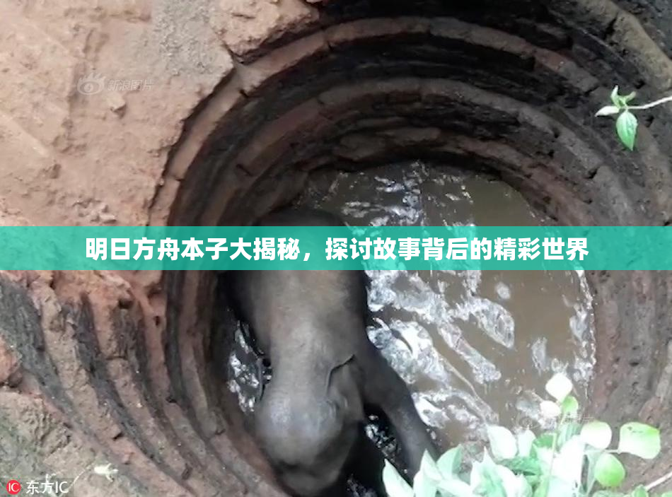 明日方舟本子大揭秘，探讨故事背后的精彩世界