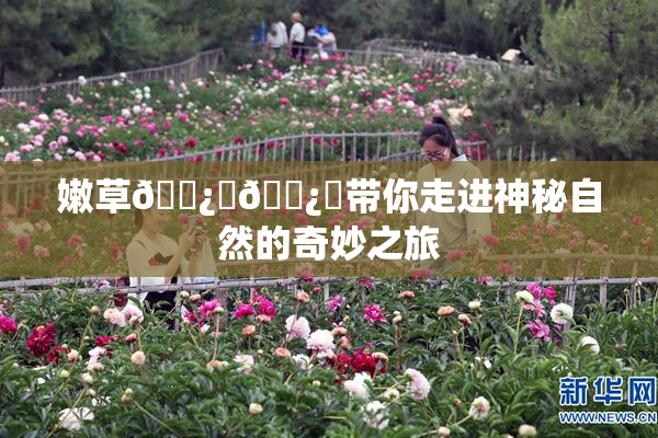 嫩草🌿‌🌿‌带你走进神秘自然的奇妙之旅