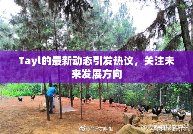Tayl的最新动态引发热议，关注未来发展方向
