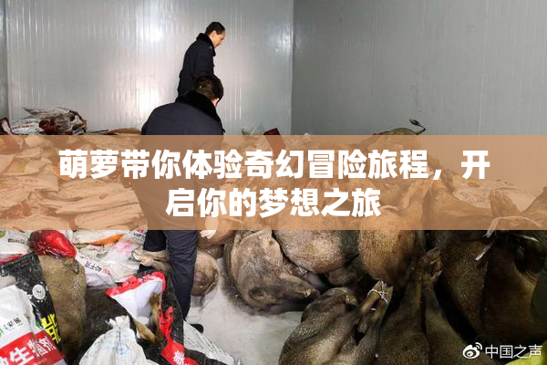 萌萝带你体验奇幻冒险旅程，开启你的梦想之旅