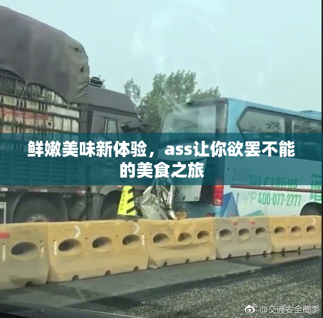 鲜嫩美味新体验，ass让你欲罢不能的美食之旅