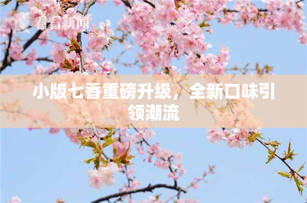 小版七香重磅升级，全新口味引领潮流