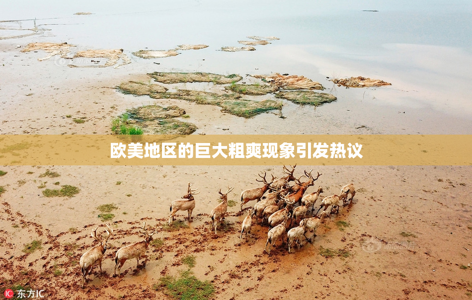 欧美地区的巨大粗爽现象引发热议