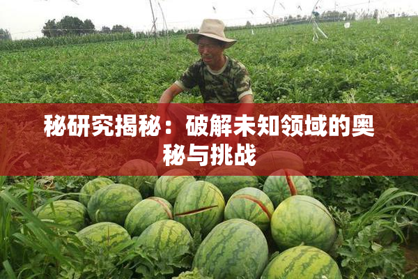 秘研究揭秘：破解未知领域的奥秘与挑战