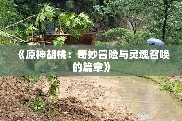 《原神胡桃：奇妙冒险与灵魂召唤的篇章》