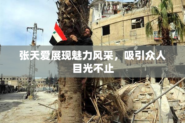 张天爱展现魅力风采，吸引众人目光不止