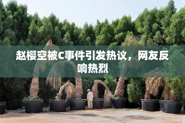 赵樱空被C事件引发热议，网友反响热烈
