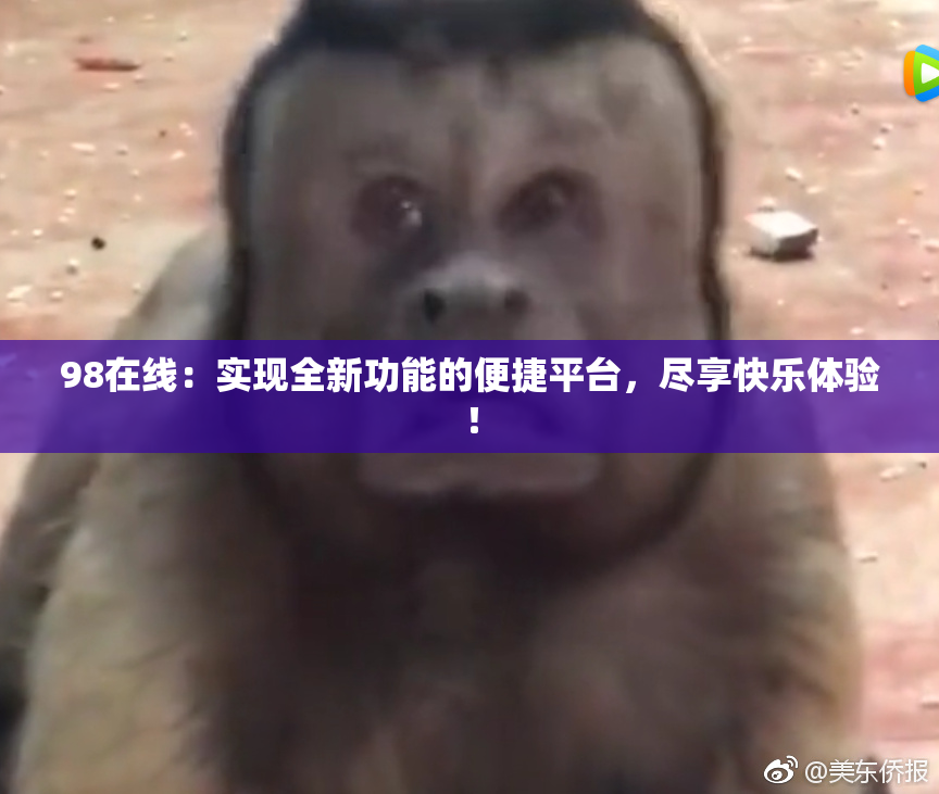 98在线：实现全新功能的便捷平台，尽享快乐体验！