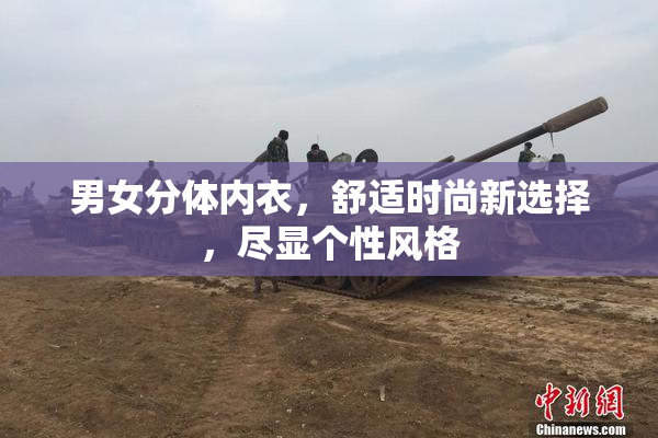 男女分体内衣，舒适时尚新选择，尽显个性风格