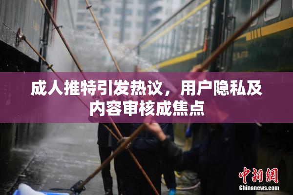 成人推特引发热议，用户隐私及内容审核成焦点