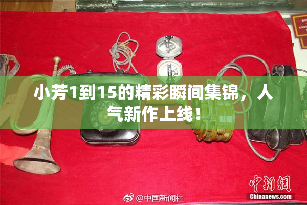 小芳1到15的精彩瞬间集锦，人气新作上线！