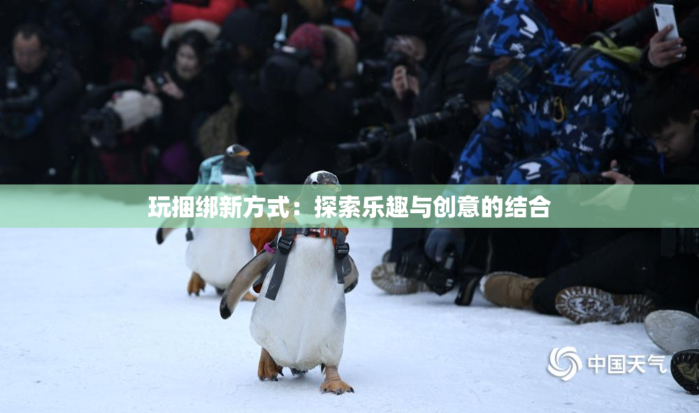 玩捆绑新方式：探索乐趣与创意的结合