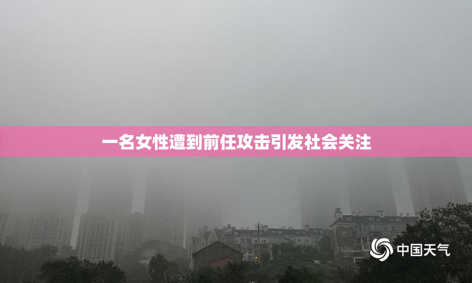 一名女性遭到前任攻击引发社会关注
