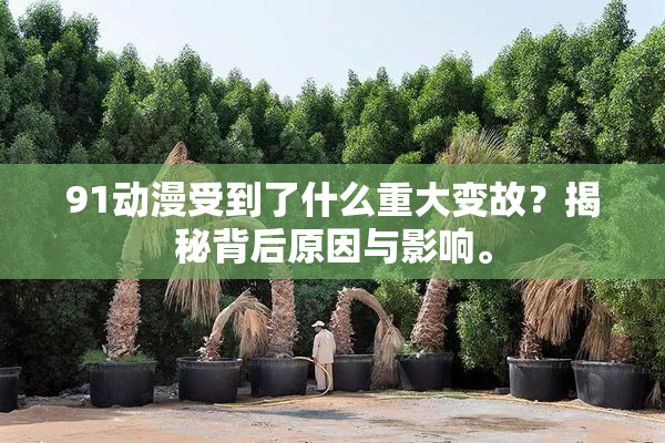 91动漫受到了什么重大变故？揭秘背后原因与影响。