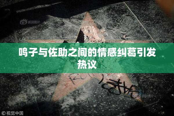 鸣子与佐助之间的情感纠葛引发热议