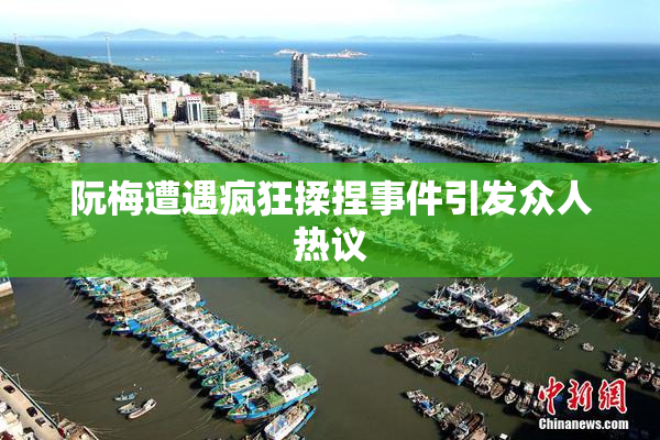 阮梅遭遇疯狂揉捏事件引发众人热议