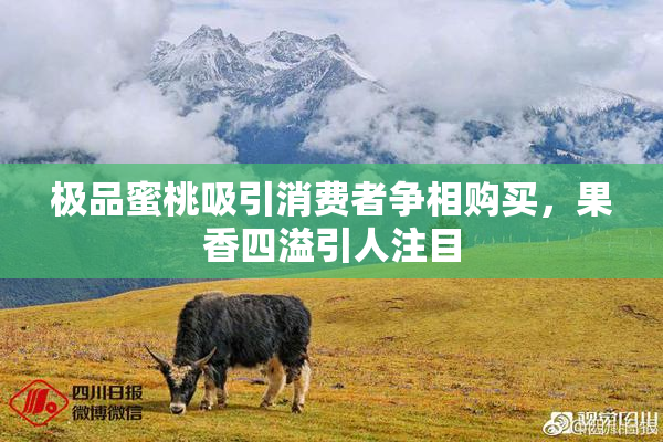 极品蜜桃吸引消费者争相购买，果香四溢引人注目