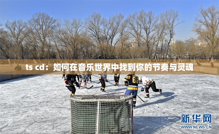 ts cd：如何在音乐世界中找到你的节奏与灵魂