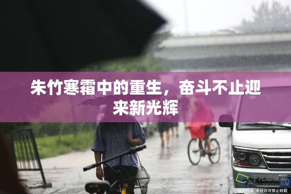 朱竹寒霜中的重生，奋斗不止迎来新光辉