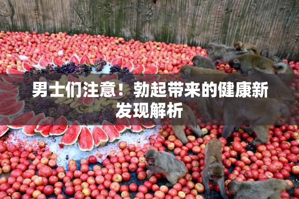 男士们注意！勃起带来的健康新发现解析