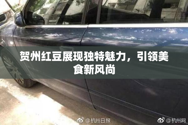 贺州红豆展现独特魅力,引领美食新风尚