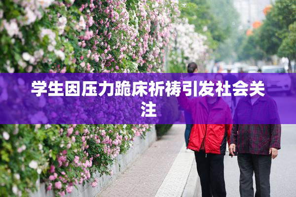 学生因压力跪床祈祷引发社会关注
