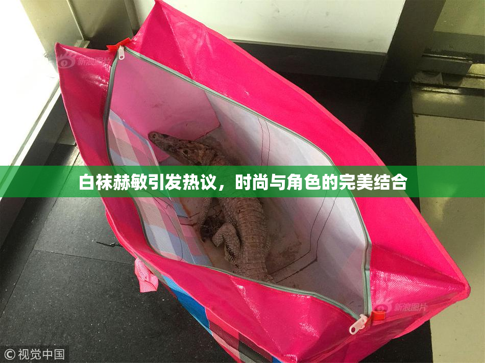 白袜赫敏引发热议,时尚与角色的完美结合