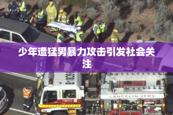 少年遭猛男暴力攻击引发社会关注