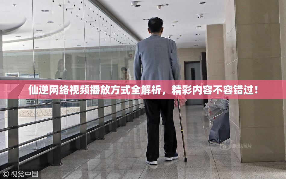 仙逆网络视频播放方式全解析，精彩内容不容错过！