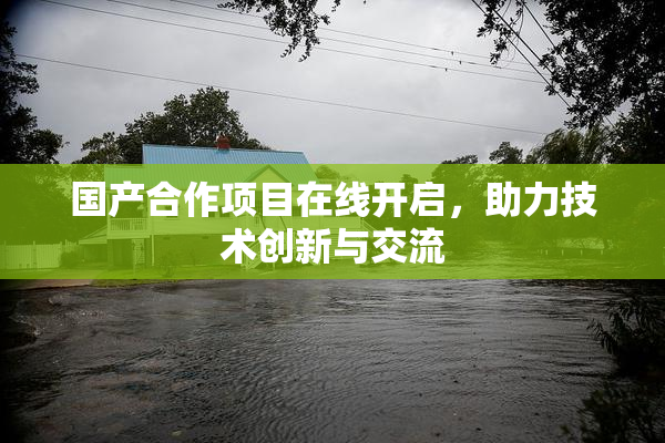 国产合作项目在线开启，助力技术创新与交流