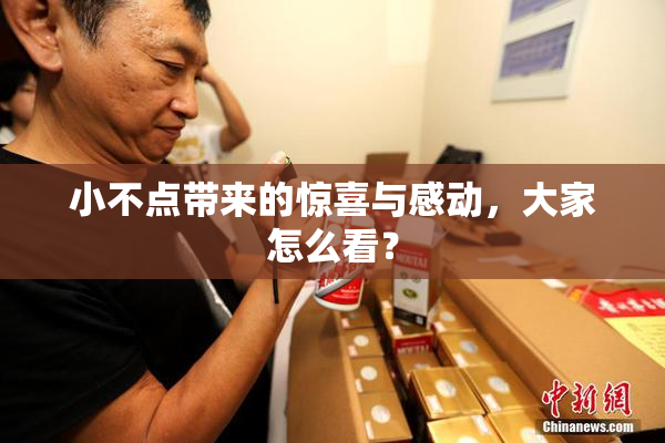 小不点带来的惊喜与感动，大家怎么看？