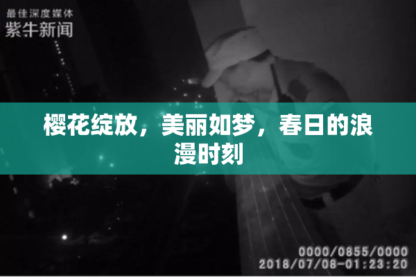 樱花绽放，美丽如梦，春日的浪漫时刻