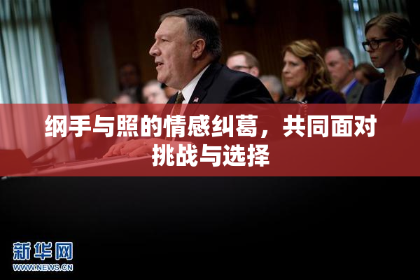 纲手与照的情感纠葛，共同面对挑战与选择