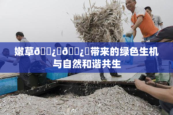嫩草🌿‌🌿‌带来的绿色生机与自然和谐共生