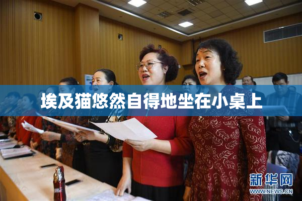 埃及猫悠然自得地坐在小桌上
