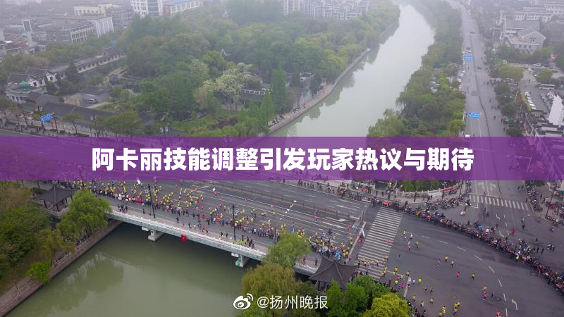 阿卡丽技能调整引发玩家热议与期待
