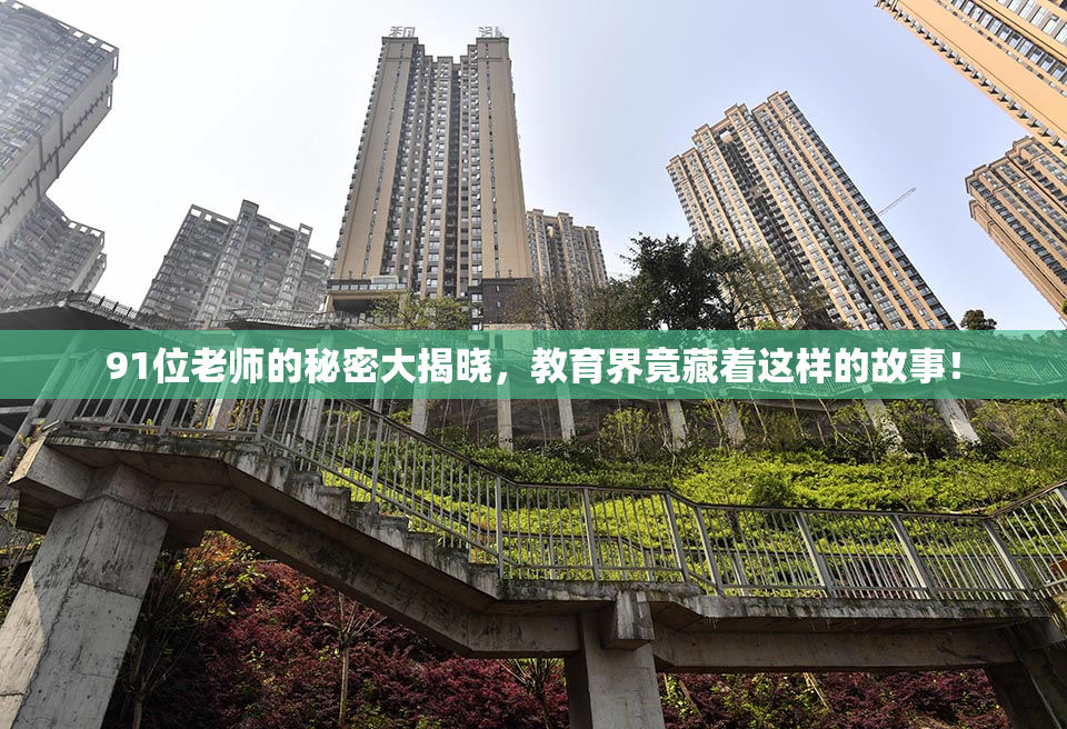91位老师的秘密大揭晓，教育界竟藏着这样的故事！