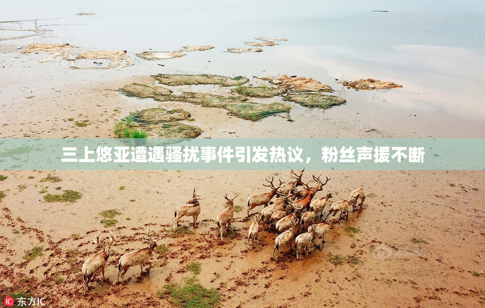 三上悠亚遭遇骚扰事件引发热议，粉丝声援不断