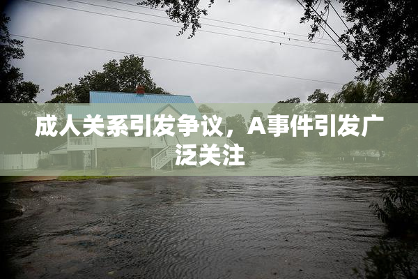 成人关系引发争议，A事件引发广泛关注