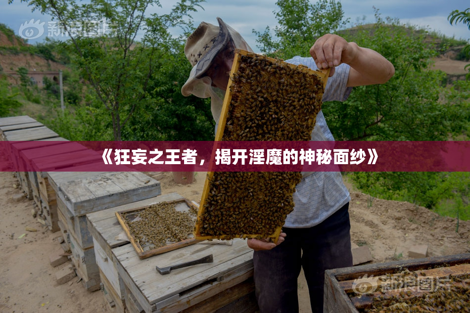 《狂妄之王者，揭开淫魔的神秘面纱》