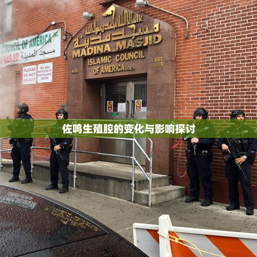 佐鸣生殖腔的变化与影响探讨