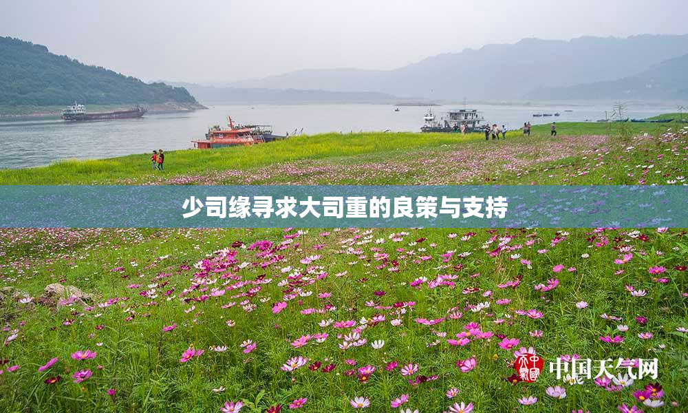 少司缘寻求大司重的良策与支持